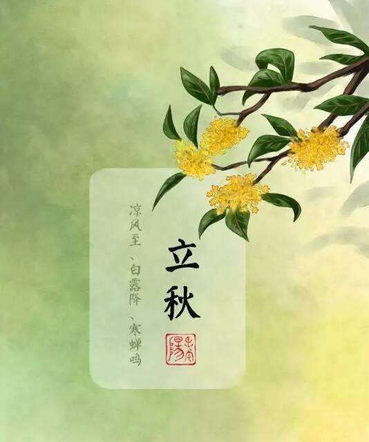第219页