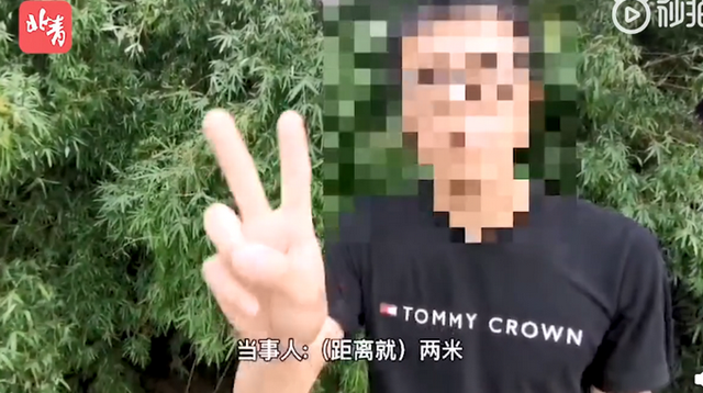 第249页