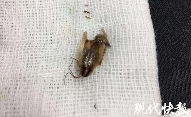 第296页